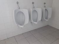 /album/fotogaleria-arrigorri-harrigarri/mutilen-komunak2-jpg/